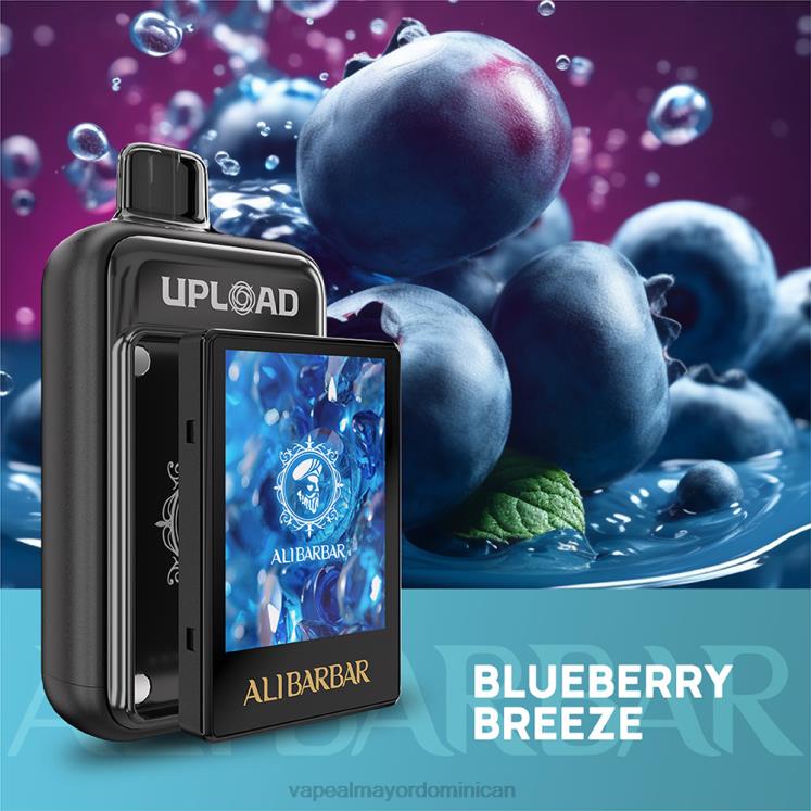 Mayorista Vape FXT04113 Alibarbar subir brisa de arándanos
