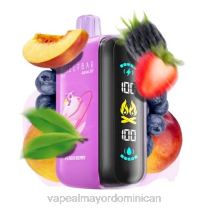 Elf Bar Raya D3 25000 desechable 2B061 Vape Al Mayor Dominican