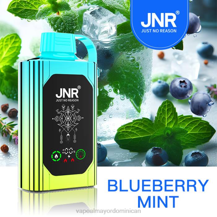 X82D618 - liquido de vape al por mayor en República Dominicana menta de arándanos JNR SHISHA BOX