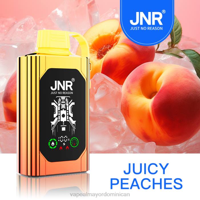 X82D622 - tienda de vapeo al por mayor melocotones jugosos JNR SHISHA BOX