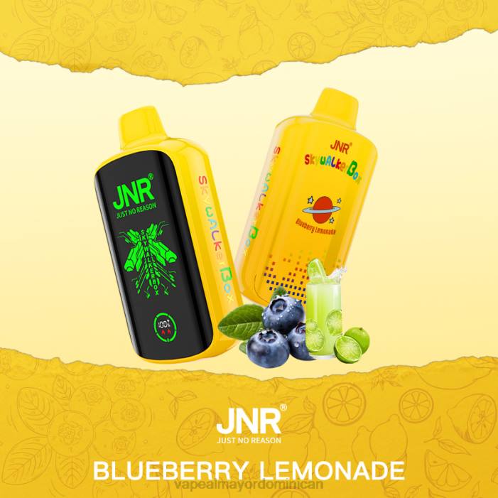 X82D584 - vape desechable Limonada de arándanos JNR SKYWALKER BOX