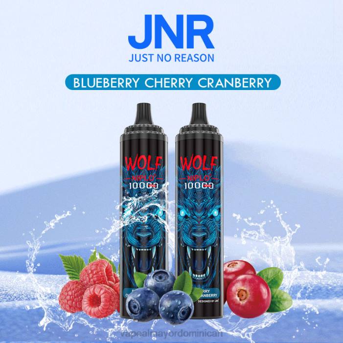 X82D760 - tienda de vapeo al por mayor República Dominicana arándano cereza arándano JNR WOLF NIPLO