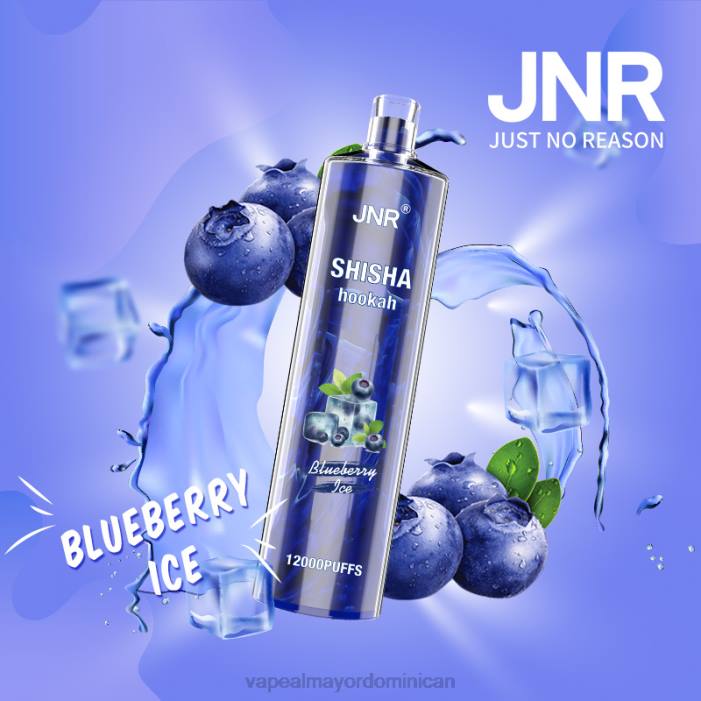 X82D671 - vape al mayor Dominican hielo de arándanos JNR SHISHA