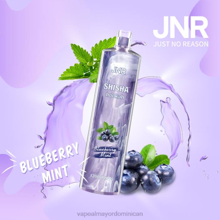 X82D672 - tienda de vapeo al por mayor menta de arándanos JNR SHISHA