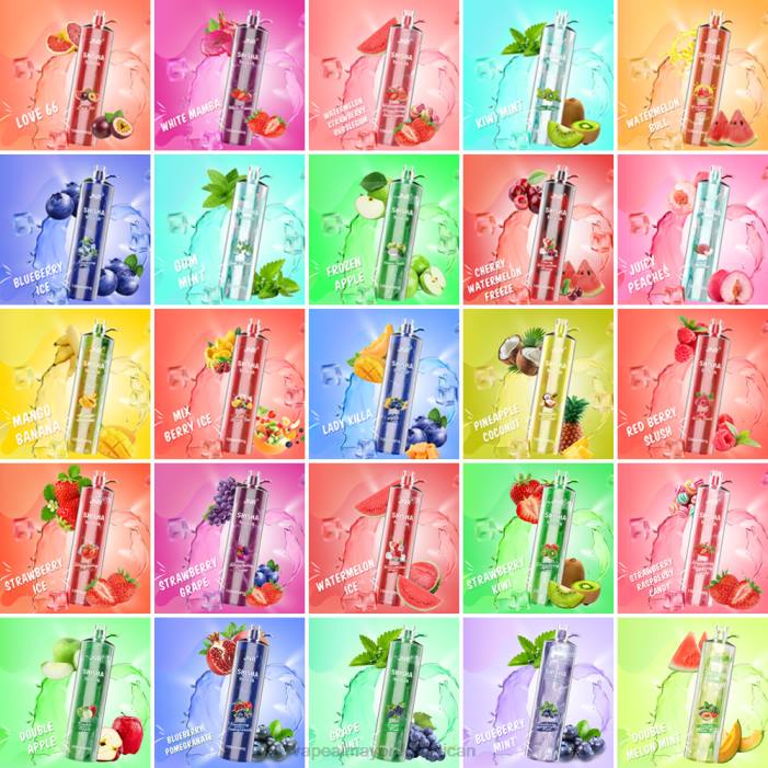 X82D676 - distribuidor vapeo al por mayor doble melón menta JNR SHISHA