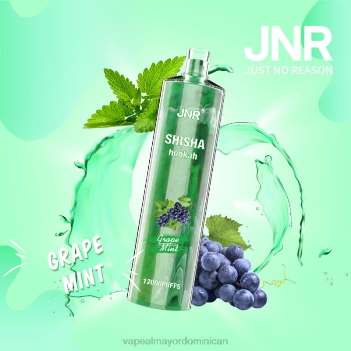 X82D678 - liquido de vape al por mayor en República Dominicana menta de uva JNR SHISHA