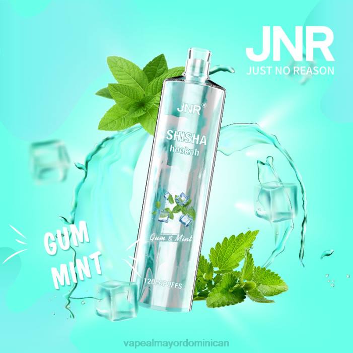 X82D679 - mayorista vape goma de menta JNR SHISHA