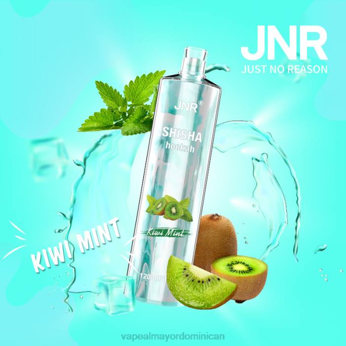 X82D681 - vape al mayor Dominican menta kiwi JNR SHISHA