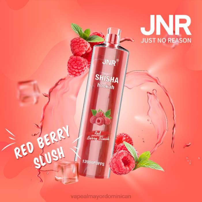 X82D687 - productos de vapeo al por mayor granizado de frutos rojos JNR SHISHA