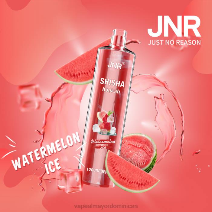 X82D693 - mayorista vapeo hielo de sandia JNR SHISHA