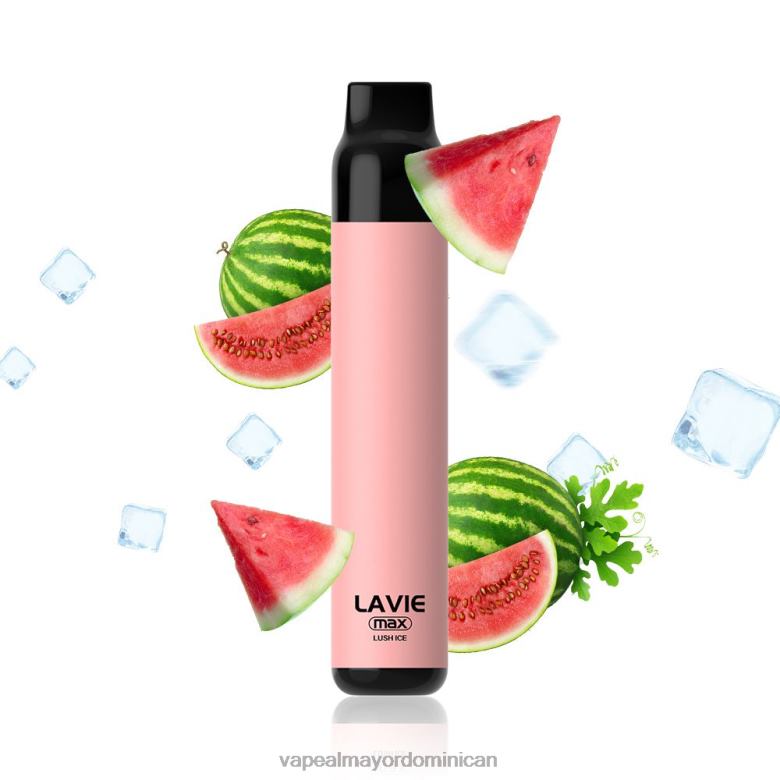 Tienda De Vapeo Al Por Mayor TFX66277 LAVIE BAR 5000 inhalaciones - máx. hielo exuberante