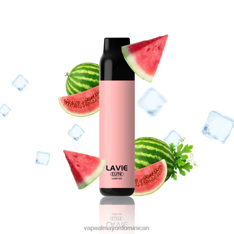 Vapeo Al Por Mayor TFX66285 LAVIE BAR 3000 bocanadas hielo exuberante