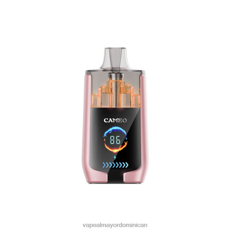 Liquido De Vape Al Por Mayor En República Dominicana TFX6619 LAVIE CAMEO 30000 bocanadas fruta tropical