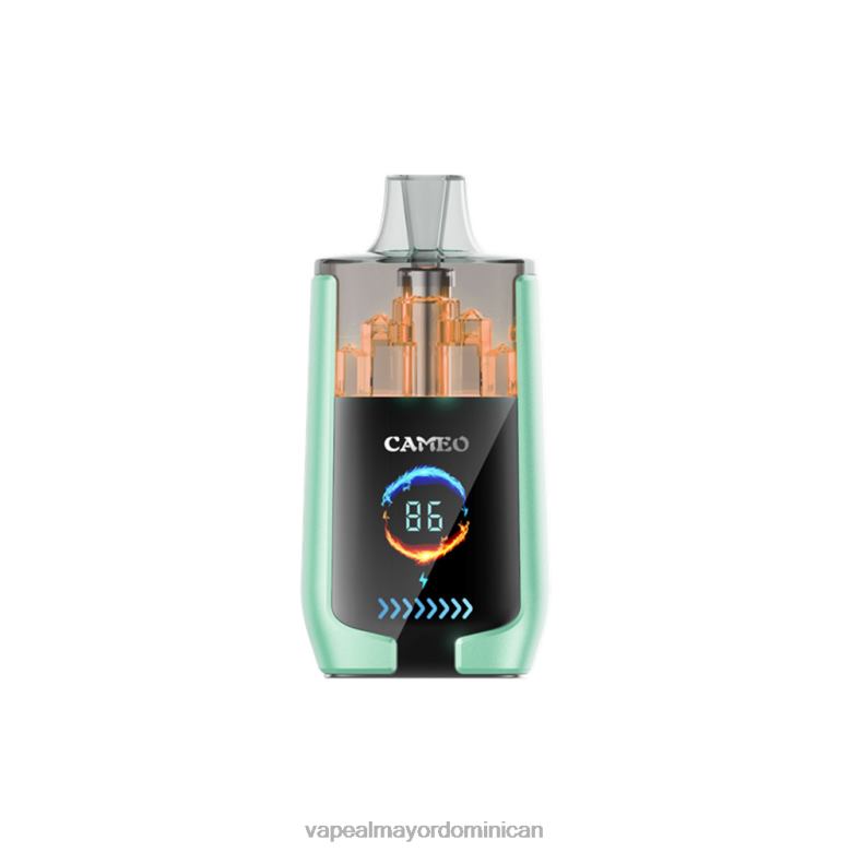 Mayorista Vape TFX6620 LAVIE CAMEO 30000 bocanadas manzana doble