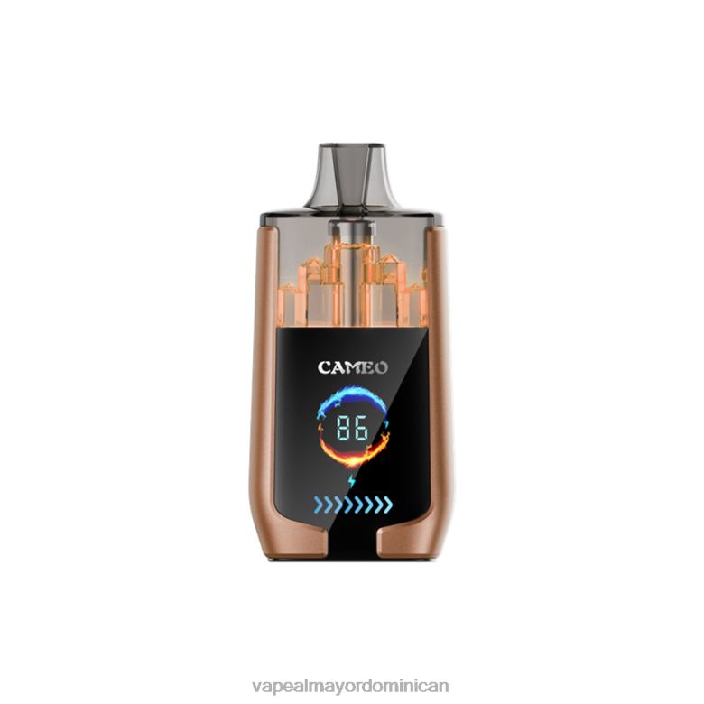 Productos De Vapeo Al Por Mayor TFX6618 LAVIE CAMEO 30000 bocanadas hielo de cafe