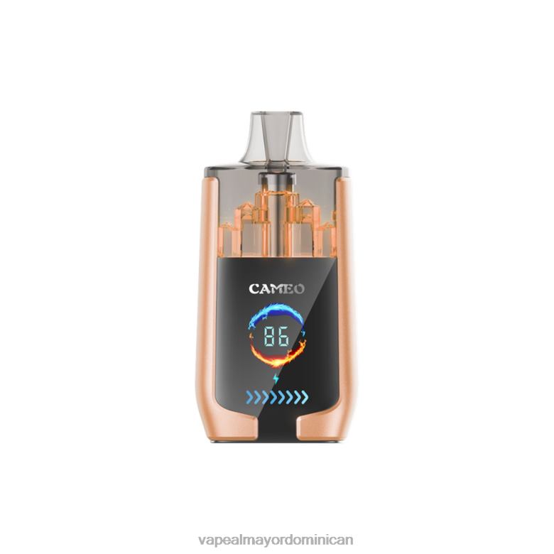 Tienda De Vapeo Al Por Mayor República Dominicana TFX6622 LAVIE CAMEO 30000 bocanadas cereza