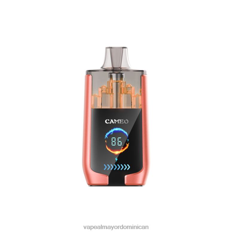 Vape Desechable TFX6624 LAVIE CAMEO 30000 bocanadas sandia fresa