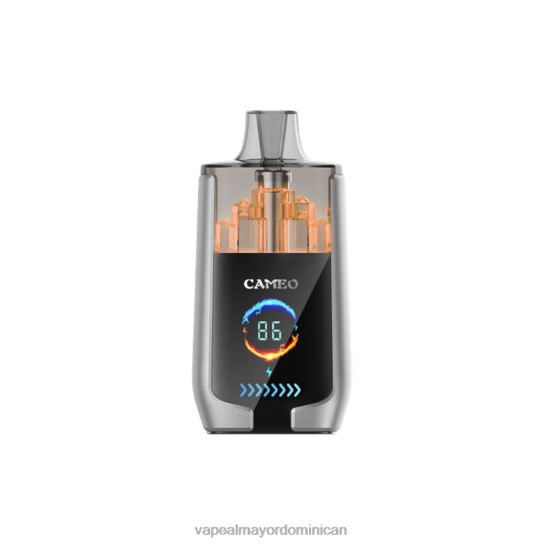 Vapeo Al Por Mayor TFX6615 LAVIE CAMEO 30000 bocanadas hielo de arándanos