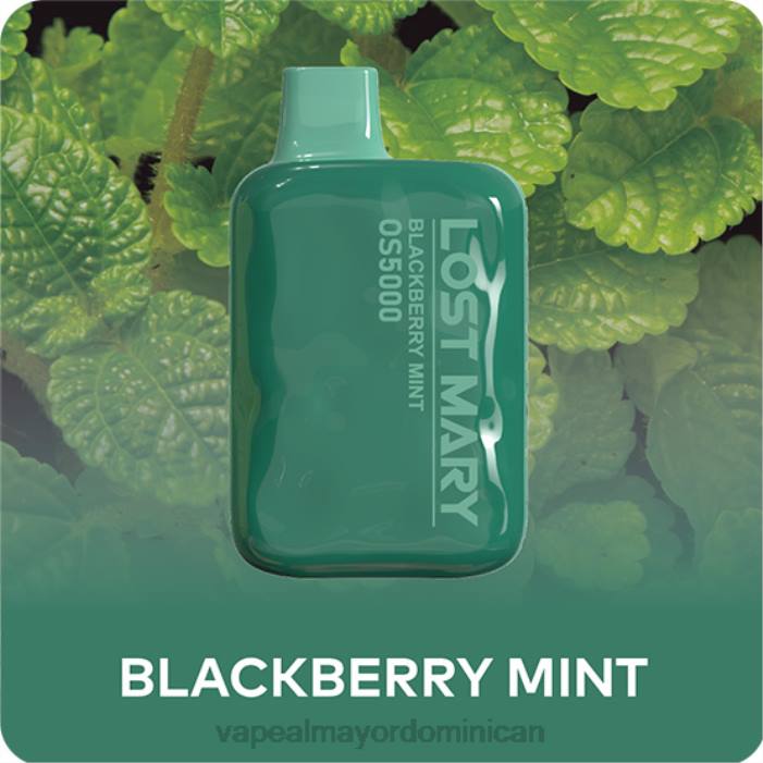 X82D485 - vapeo al por mayor menta mora LOST MARY OS5000