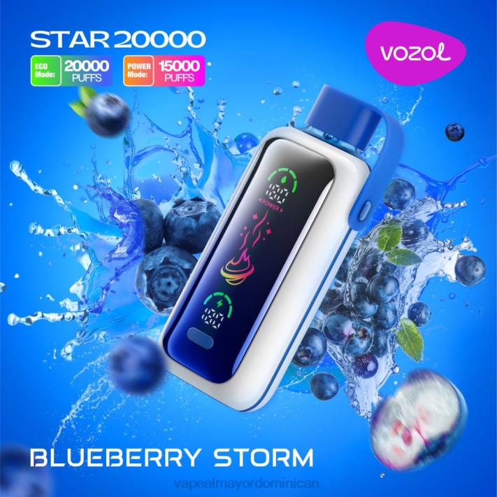 VOZOL STAR 20000 tormenta de arándanos FH6X5 Vapeo Al Por Mayor